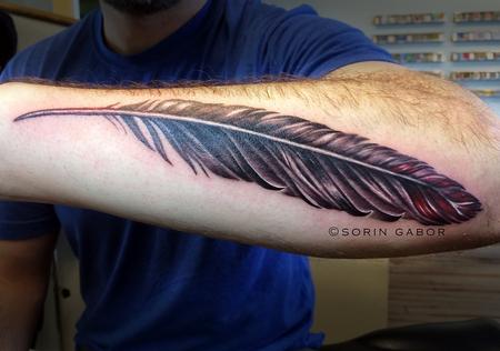 Tattoos - Realistic black and gray with color accent feather on forearm - 112094